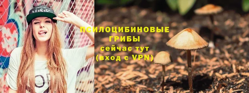 гидра ссылка  Киров  Галлюциногенные грибы Magic Shrooms 